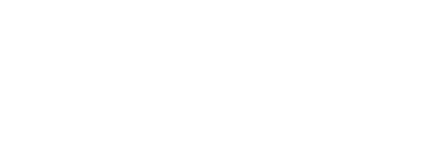 Tern Mentoring Logo